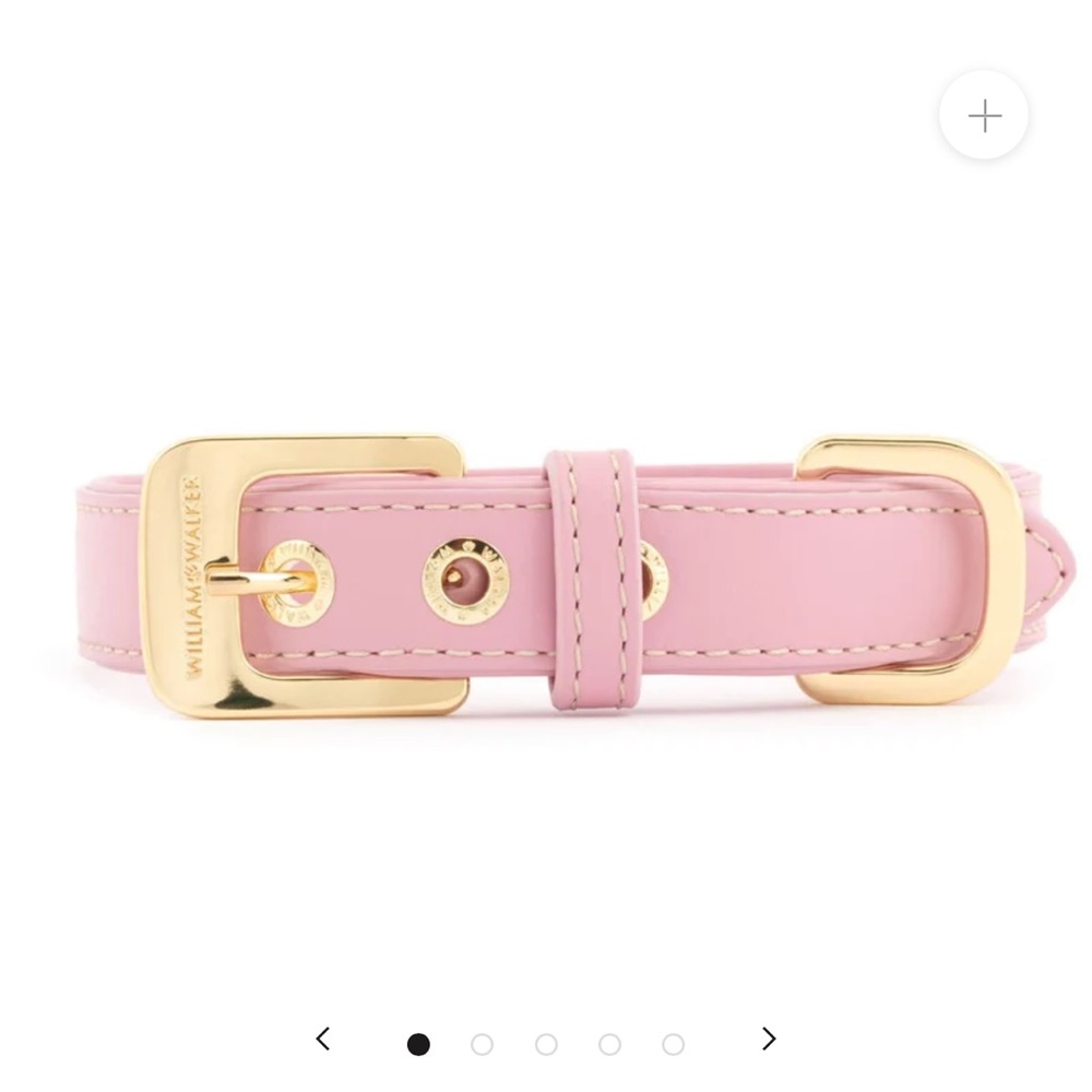 William Walker Dog collar in Rose, size XXS